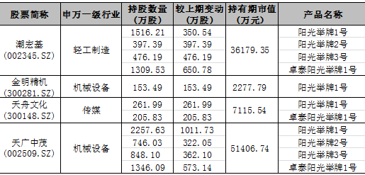 罗伟广最新持股明细全面深度解析